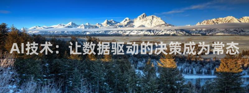 AI技术：让数据驱动的决策成为常态