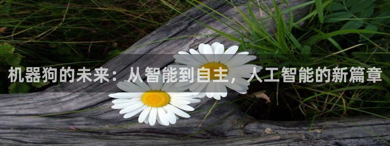 机器狗的未来：从智能到自主，人工智能的新篇章