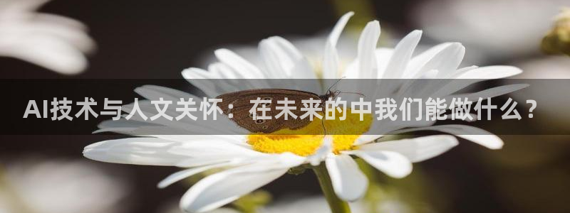 AI技术与人文关怀：在未来的中我们能做什么？
