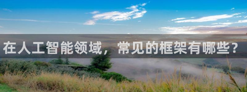 在人工智能领域，常见的框架有哪些？