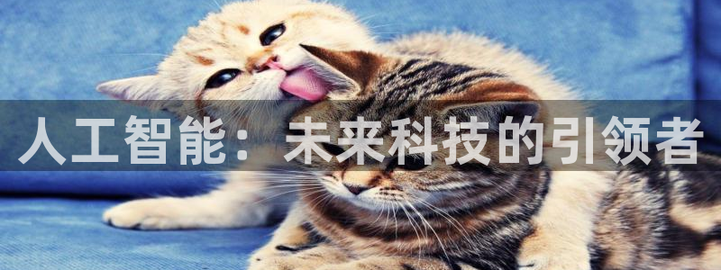 人工智能：未来科技的引领者