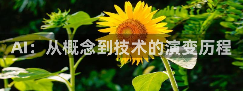 AI：从概念到技术的演变历程