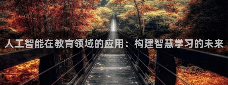 人工智能在教育领域的应用：构建智慧学习的未来