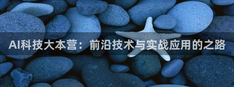 AI科技大本营：前沿技术与实战应用的之路