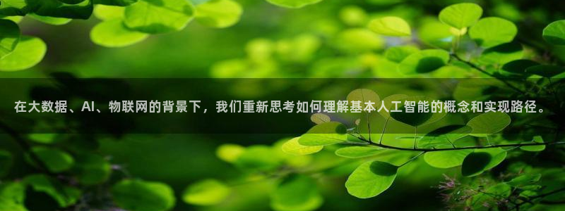在大数据、AI、物联网的背景下，我们重新思考如何理解基本人工智能的概念和实现路径。