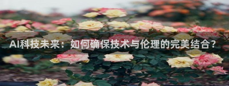 AI科技未来：如何确保技术与伦理的完美结合？