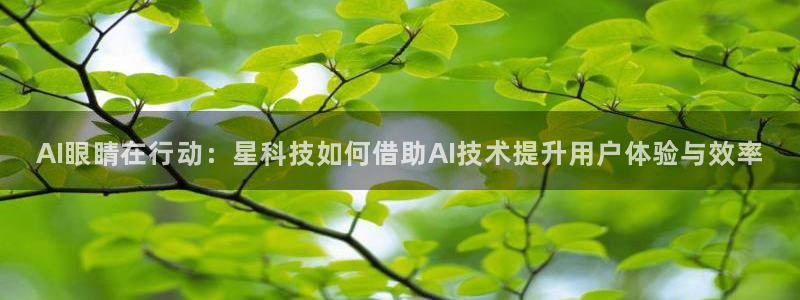 AI眼睛在行动：星科技如何借助AI技术提升用户体验与效率