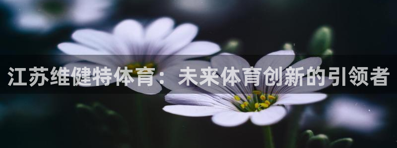 江苏维健特体育：未来体育创新的引领者