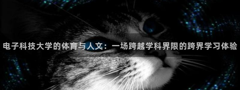 电子科技大学的体育与人文：一场跨越学科界限的跨界学习体验