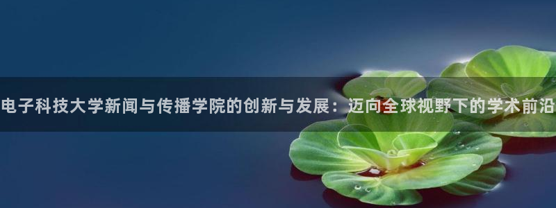 电子科技大学新闻与传播学院的创新与发展：迈向全球视野下的学术前沿