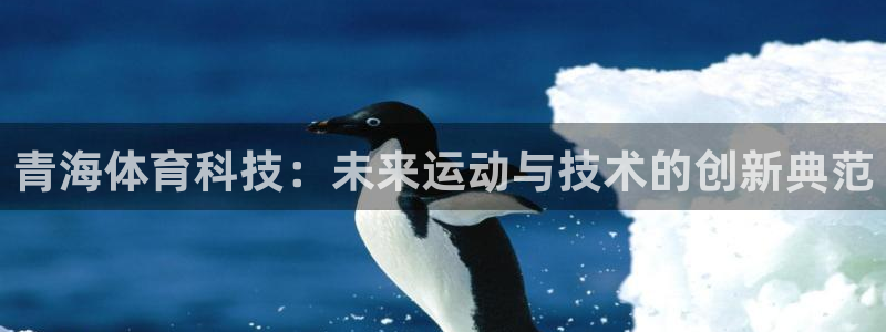 青海体育科技：未来运动与技术的创新典范