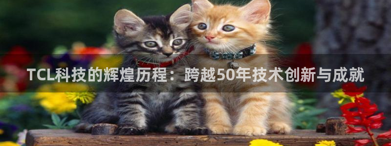TCL科技的辉煌历程：跨越50年技术创新与成就