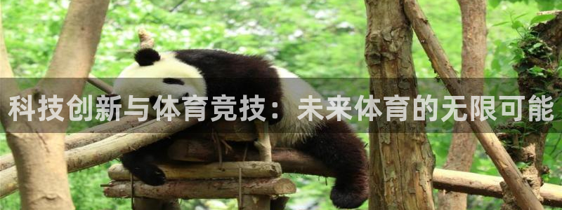 科技创新与体育竞技：未来体育的无限可能
