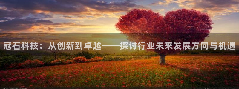 冠石科技：从创新到卓越——探讨行业未来发展方向与机遇