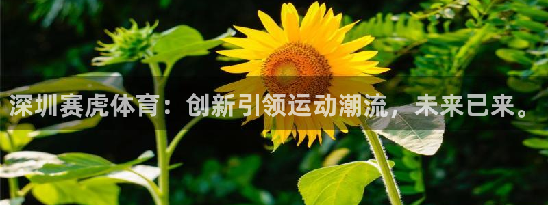 深圳赛虎体育：创新引领运动潮流，未来已来。