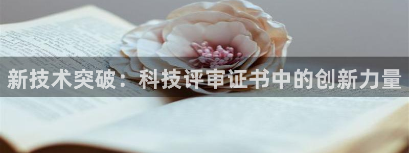 新技术突破：科技评审证书中的创新力量