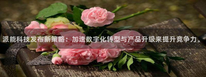 派能科技发布新策略：加速数字化转型与产品升级来提升竞争力。