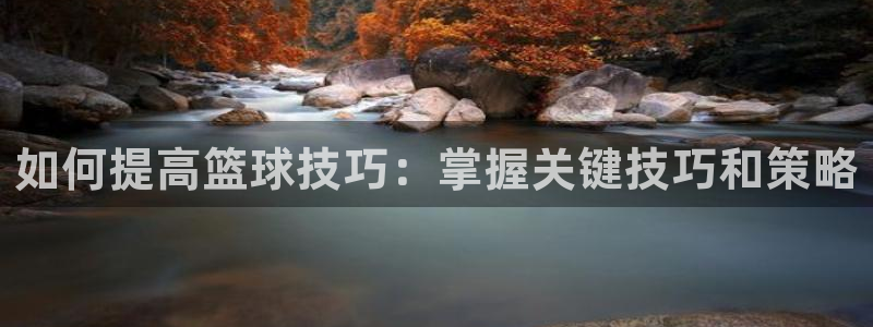如何提高篮球技巧：掌握关键技巧和策略