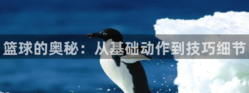 篮球的奥秘：从基础动作到技巧细节