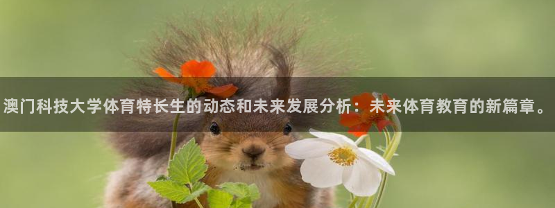 澳门科技大学体育特长生的动态和未来发展分析：未来体育教育的新篇章。