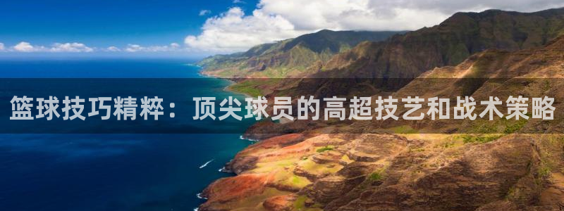 篮球技巧精粹：顶尖球员的高超技艺和战术策略