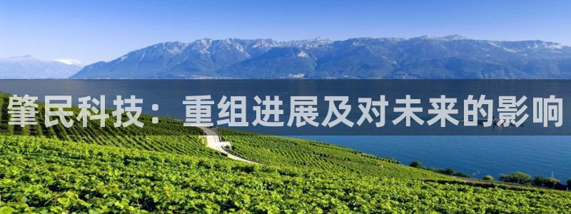 肇民科技：重组进展及对未来的影响
