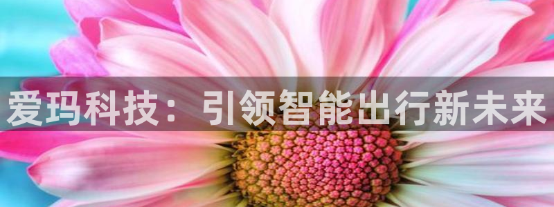 爱玛科技：引领智能出行新未来