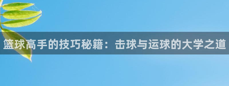 篮球高手的技巧秘籍：击球与运球的大学之道