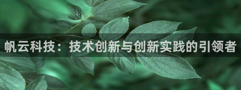 帆云科技：技术创新与创新实践的引领者