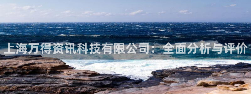 上海万得资讯科技有限公司：全面分析与评价