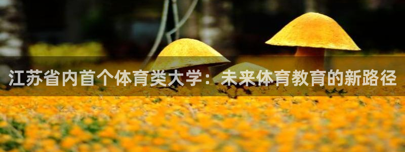 江苏省内首个体育类大学：未来体育教育的新路径