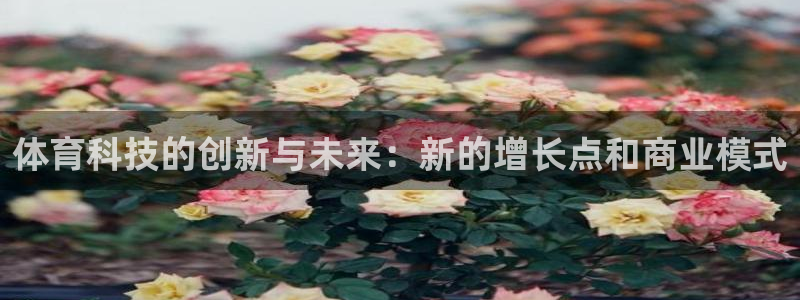 体育科技的创新与未来：新的增长点和商业模式
