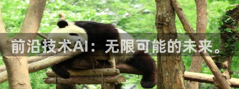 前沿技术AI：无限可能的未来。
