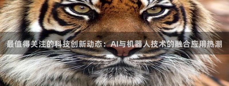 最值得关注的科技创新动态：AI与机器人技术的融合应用热潮
