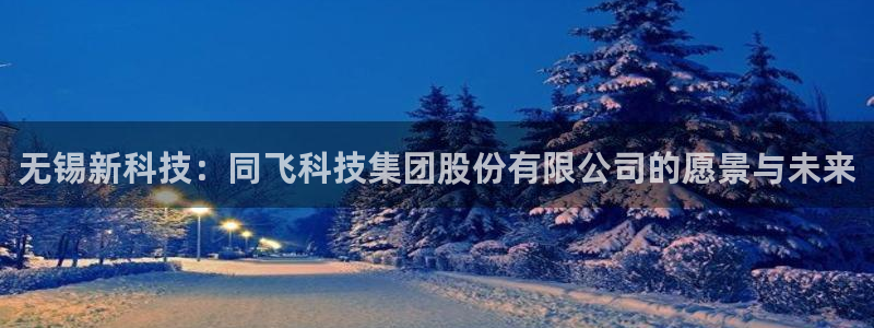 无锡新科技：同飞科技集团股份有限公司的愿景与未来