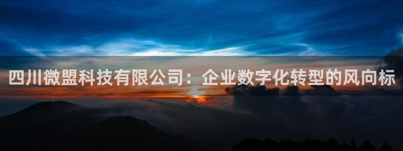 四川微盟科技有限公司：企业数字化转型的风向标