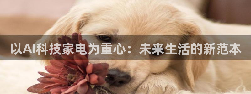 以AI科技家电为重心：未来生活的新范本