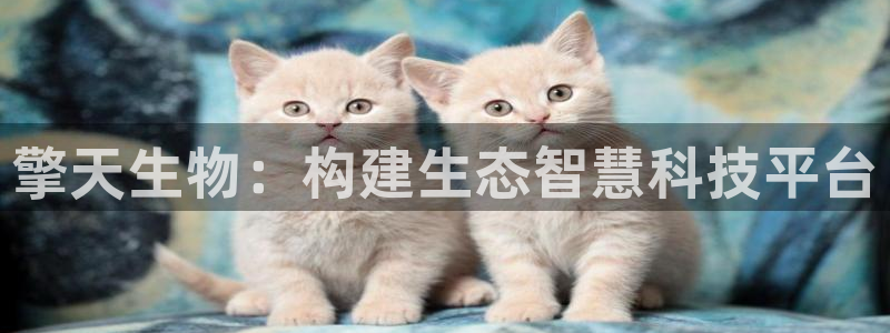 擎天生物：构建生态智慧科技平台