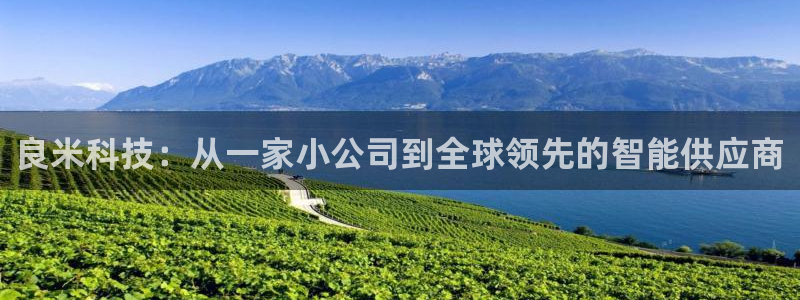 良米科技：从一家小公司到全球领先的智能供应商