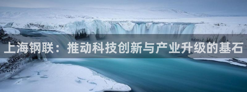 上海钢联：推动科技创新与产业升级的基石