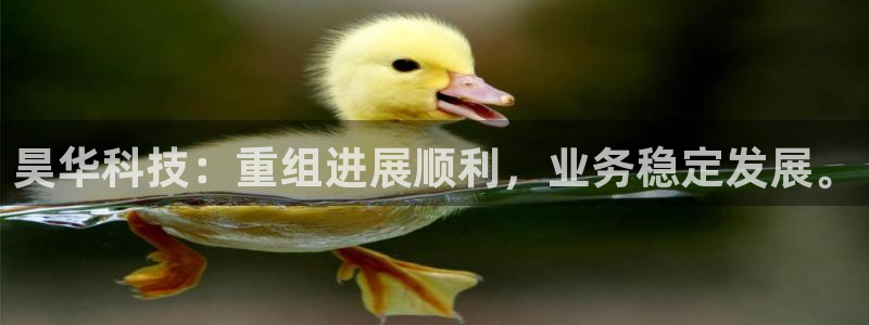 昊华科技：重组进展顺利，业务稳定发展。
