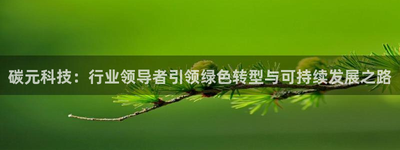 碳元科技：行业领导者引领绿色转型与可持续发展之路