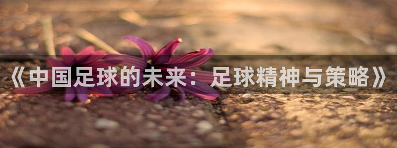 《中国足球的未来：足球精神与策略》