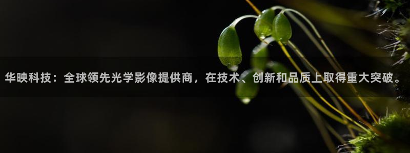 华映科技：全球领先光学影像提供商，在技术、创新和品质上取得重大突破。