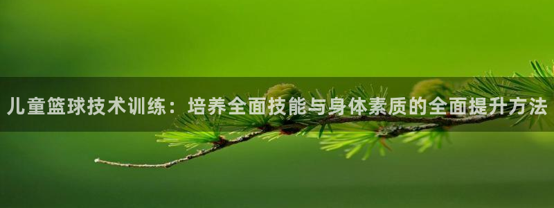 儿童篮球技术训练：培养全面技能与身体素质的全面提升方法