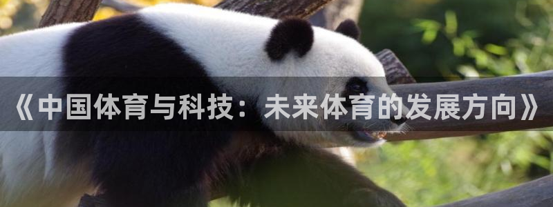 《中国体育与科技：未来体育的发展方向》