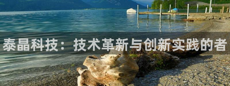 泰晶科技：技术革新与创新实践的者