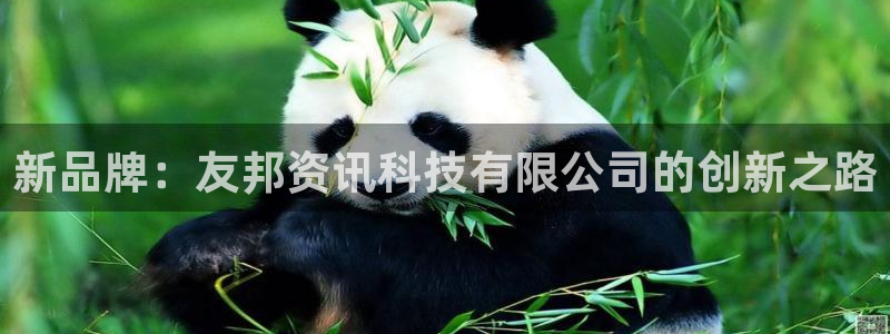 新品牌：友邦资讯科技有限公司的创新之路