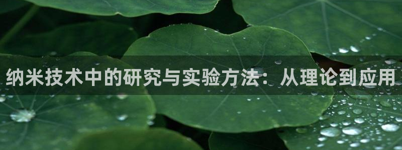 纳米技术中的研究与实验方法：从理论到应用
